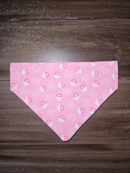 Slip On Collar Dog Bandanas
