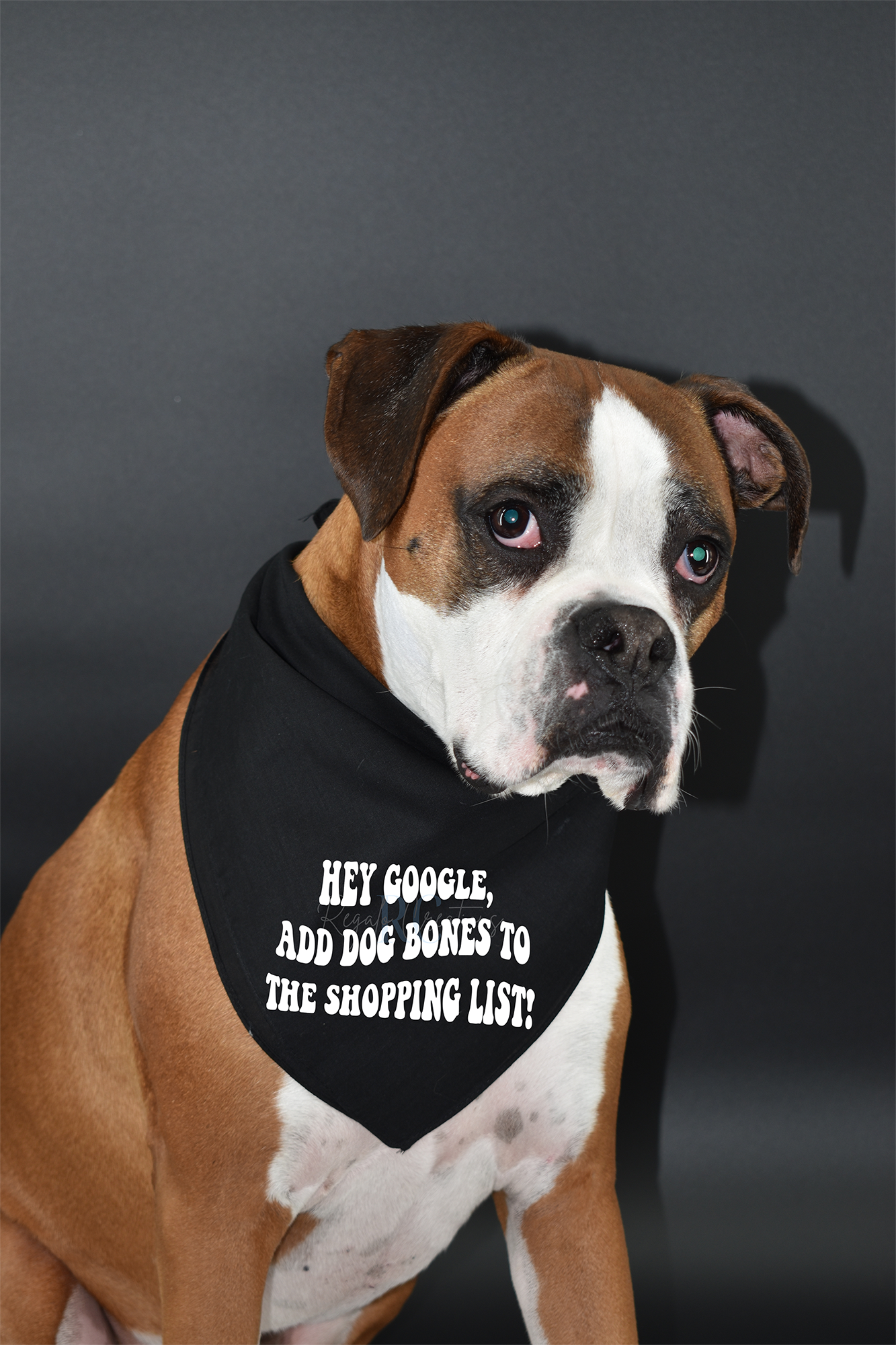 Hey Google, add Dog Bones to the Shopping List! (Dog Bandana)