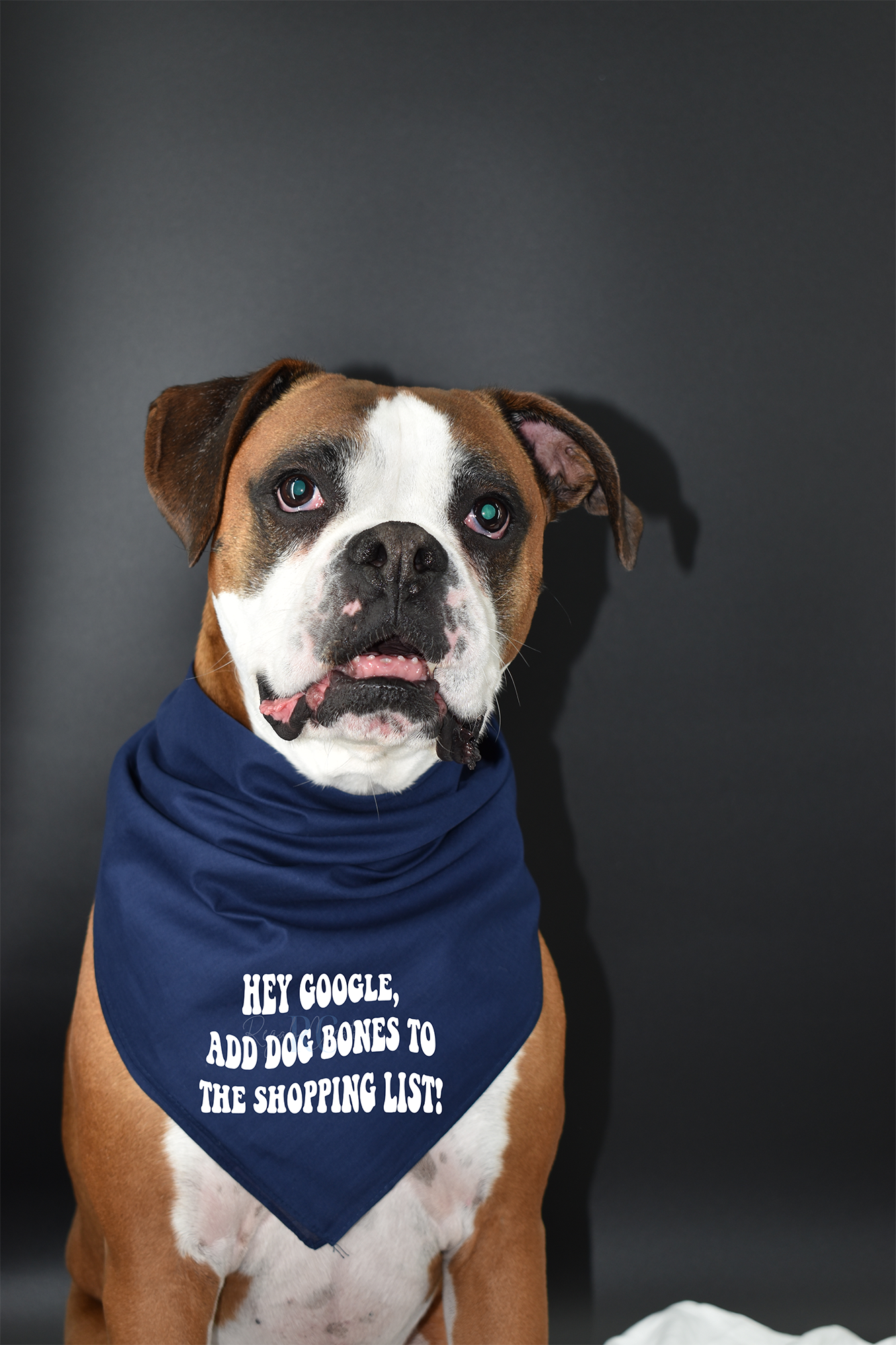 Hey Google, add Dog Bones to the Shopping List! (Dog Bandana)