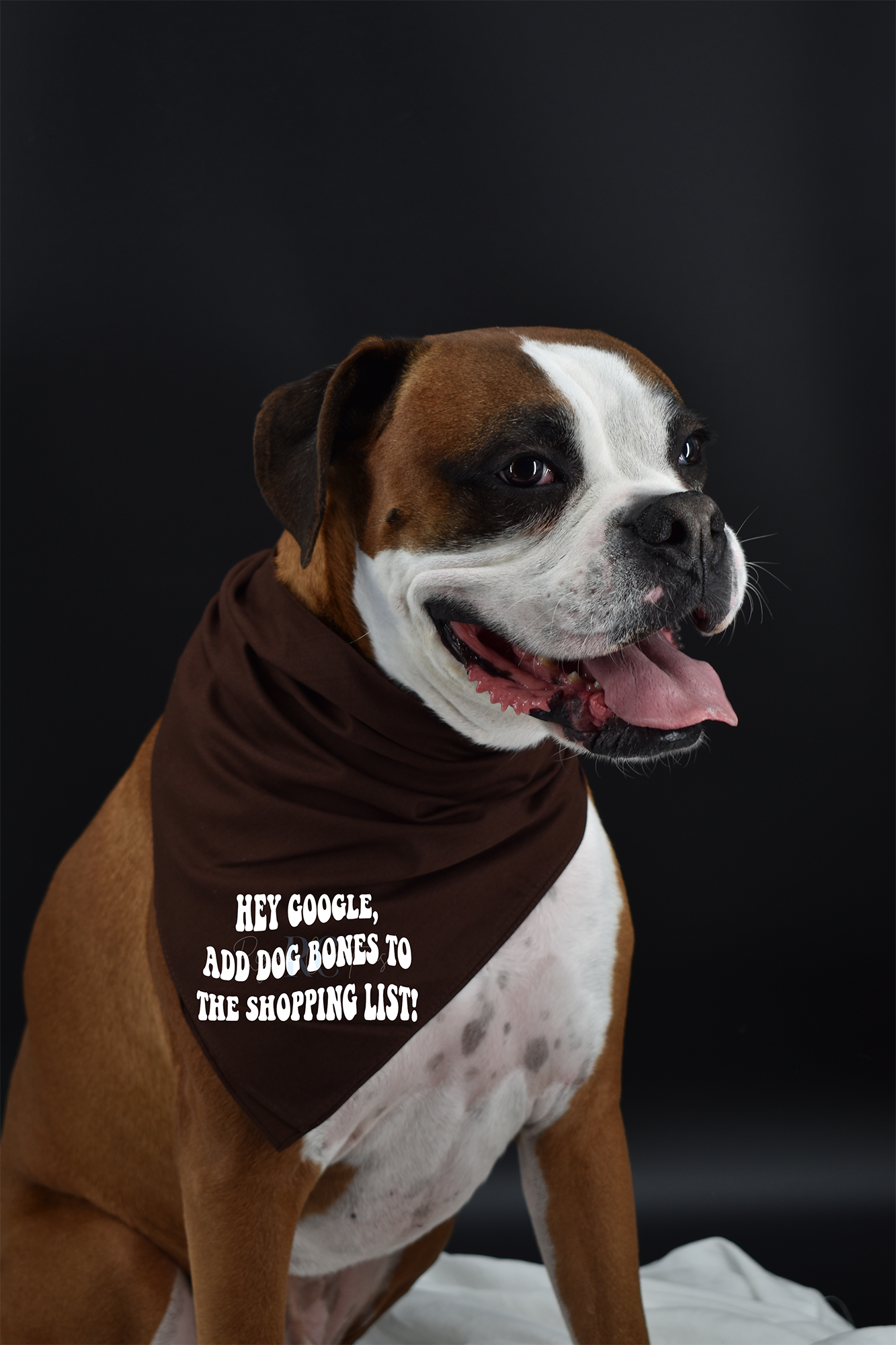 Hey Google, add Dog Bones to the Shopping List! (Dog Bandana)