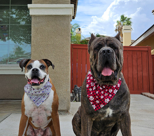 Slip On Collar Dog Bandanas