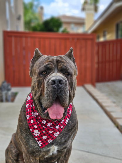 Slip On Collar Dog Bandanas