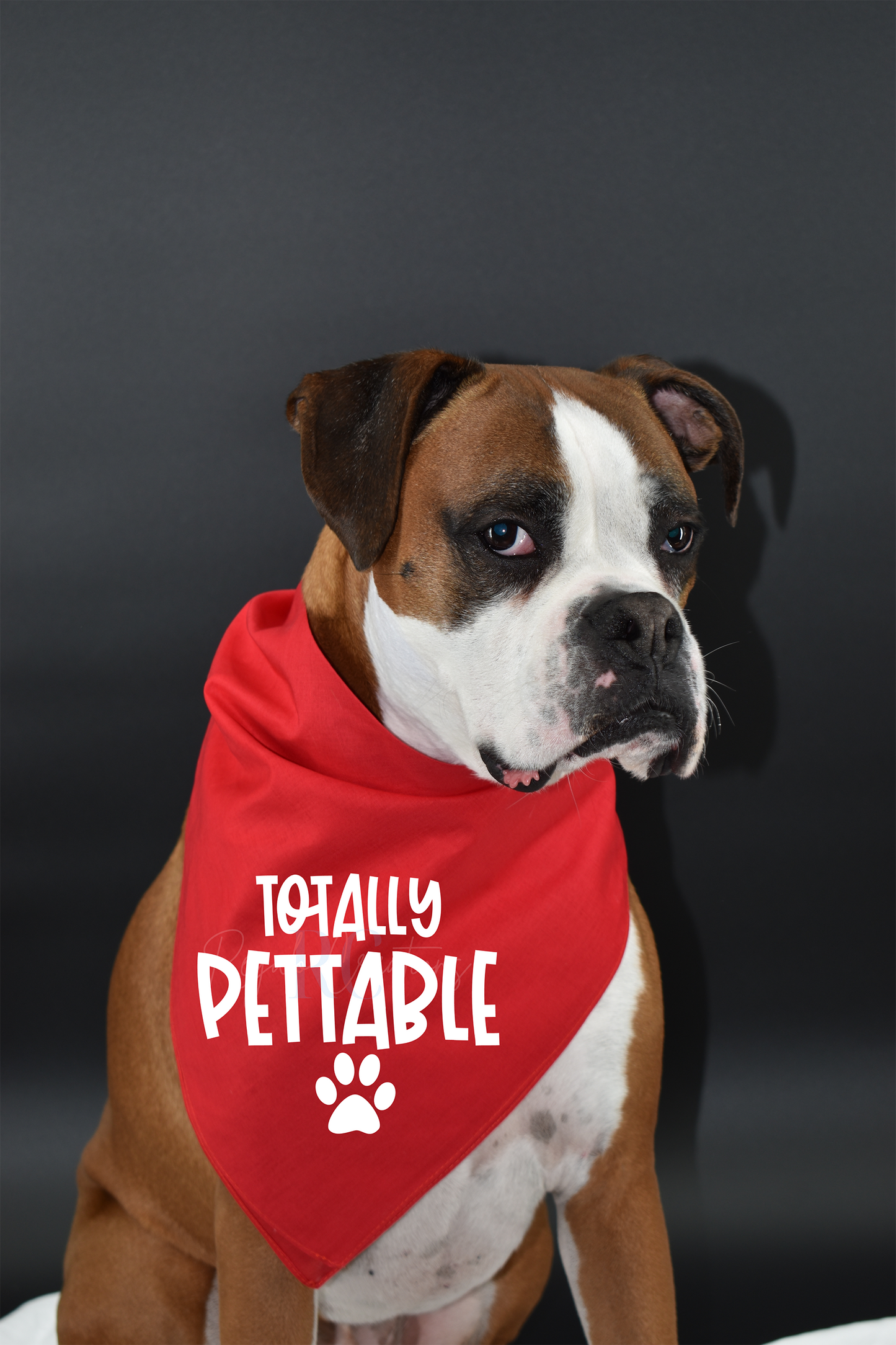 Totally Pettable (Dog Bandana)