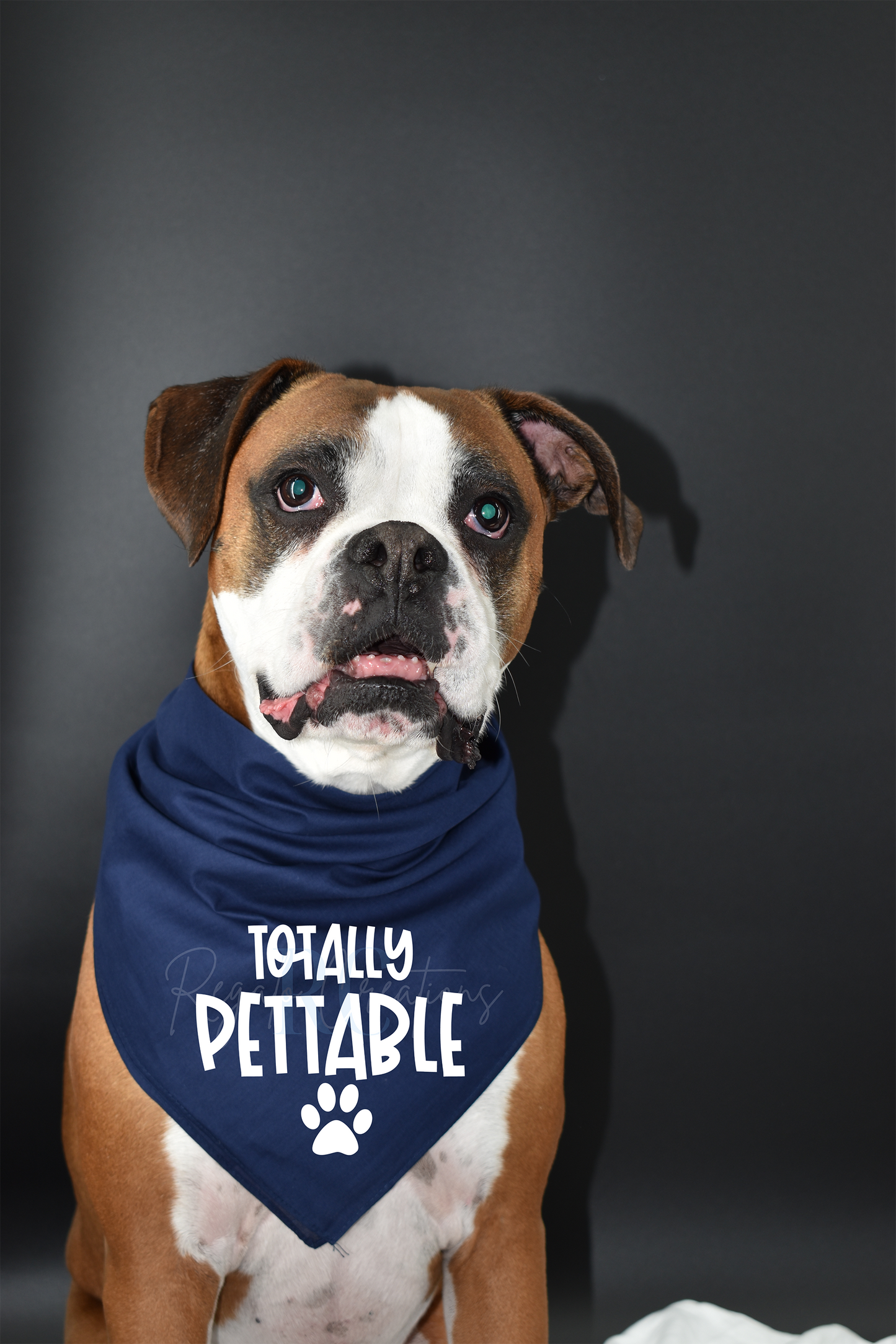 Totally Pettable (Dog Bandana)