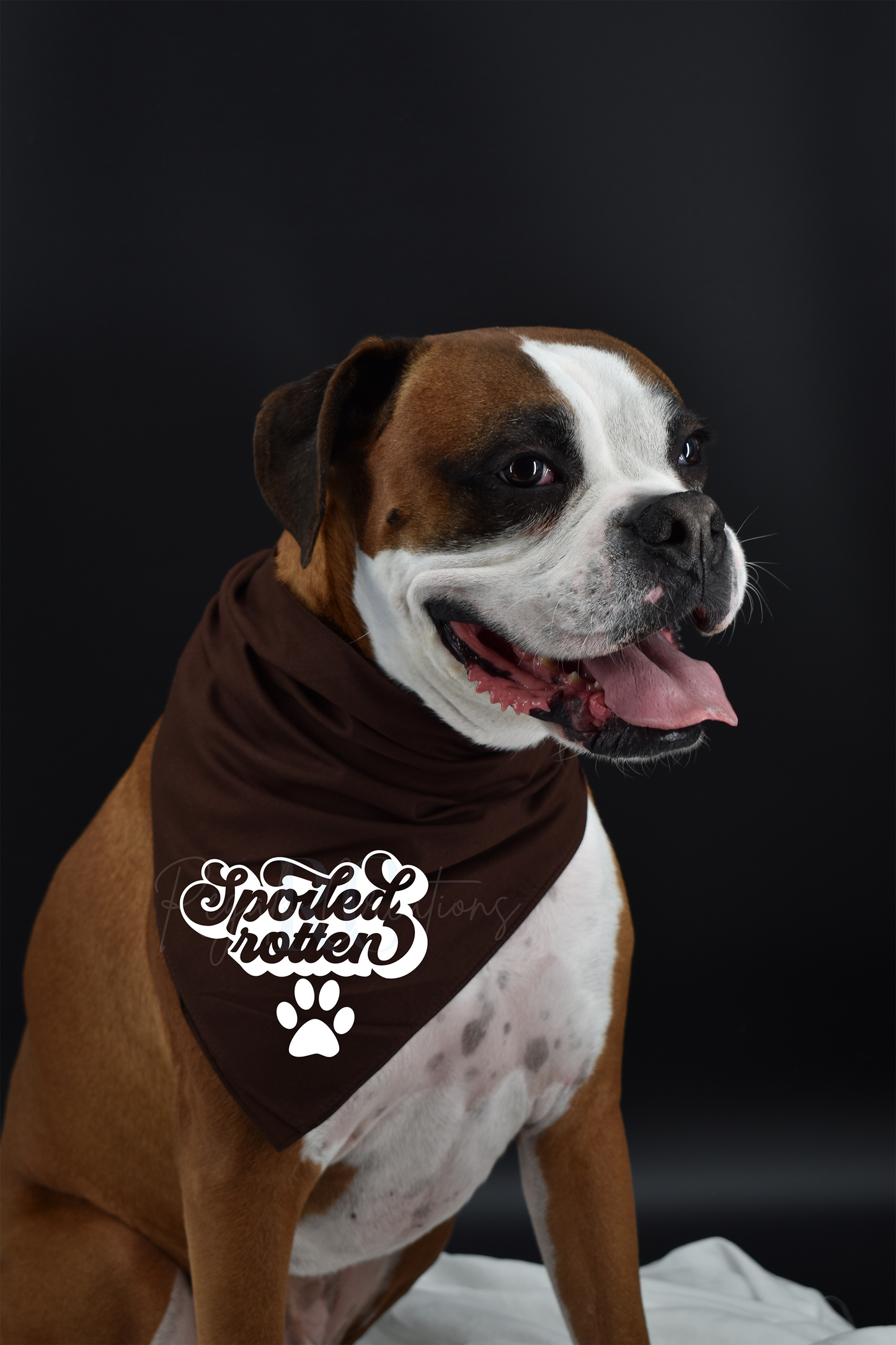 Spoiled Rotten (Dog Bandana)